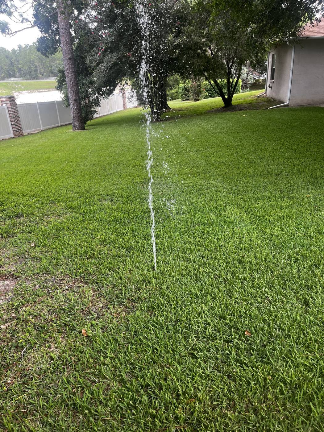 Sprinkler head running on a green lawn during a repair test
